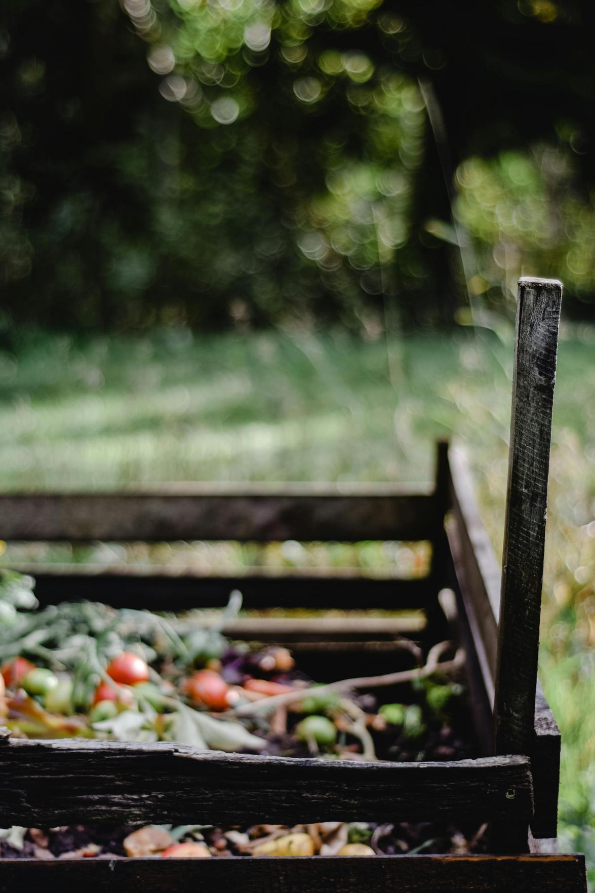 Eficiência no Tratamento de Resíduos: Como Escolher o Melhor Triturador de Galhos para Seu Jardim