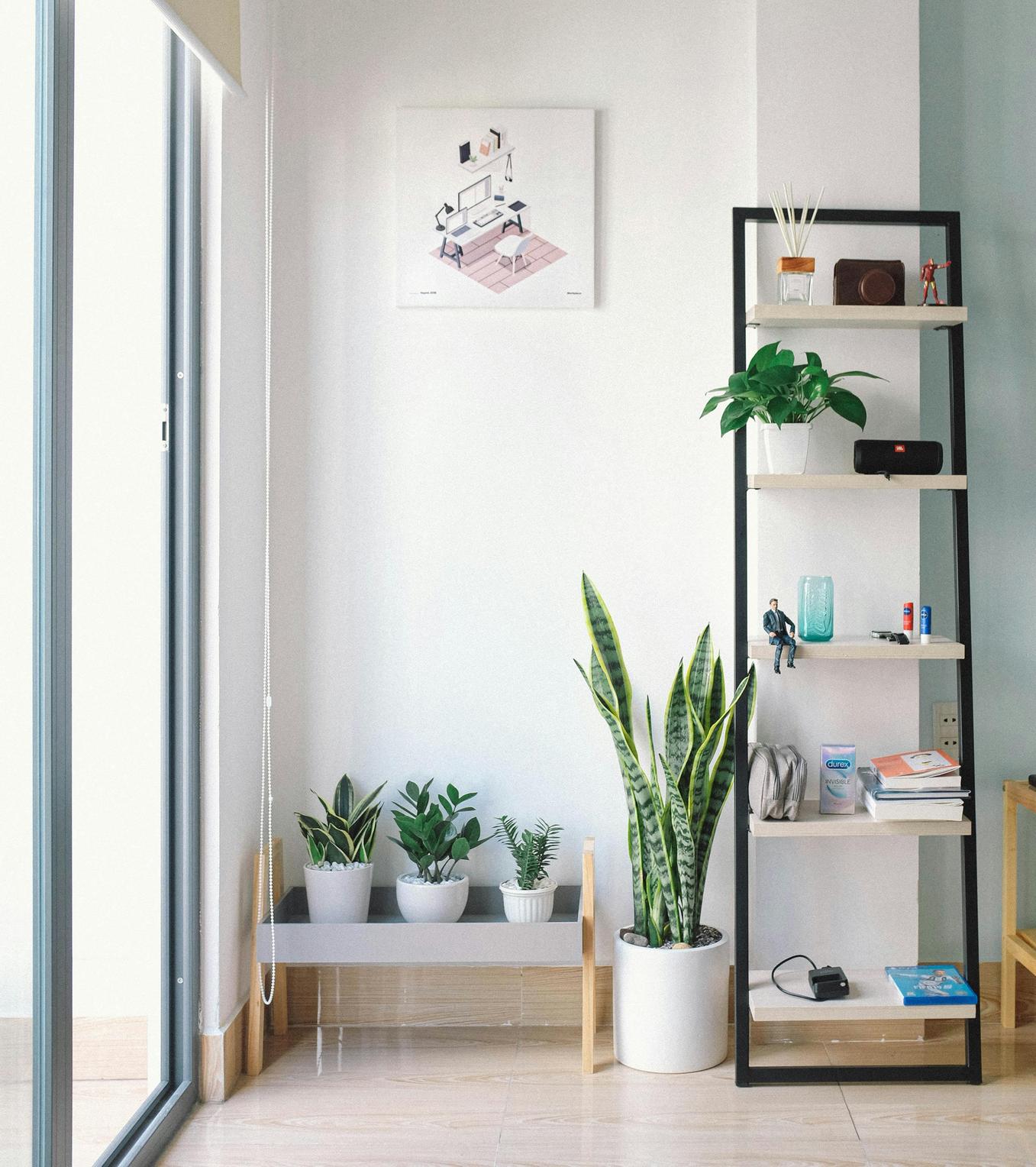 Ideias de Decoração com Plantas para Apartamentos Pequenos